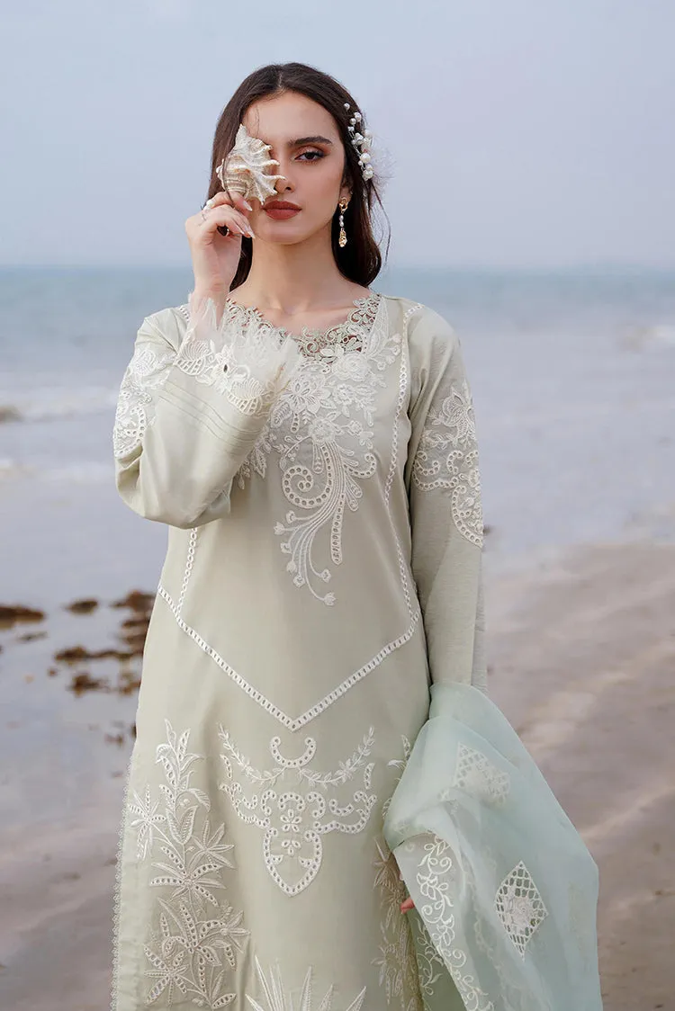 Aabyaan - AF 04 YAZMIN Saagar Luxury Festive Collection
