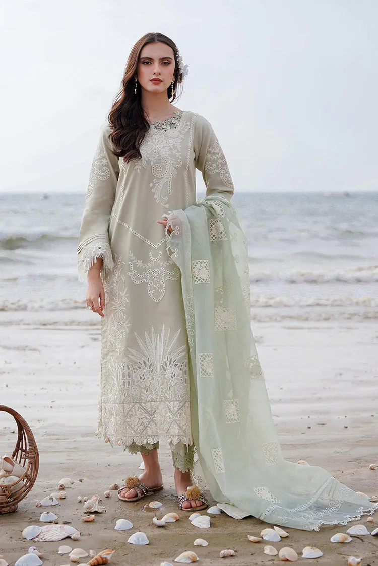 Aabyaan - AF 04 YAZMIN Saagar Luxury Festive Collection