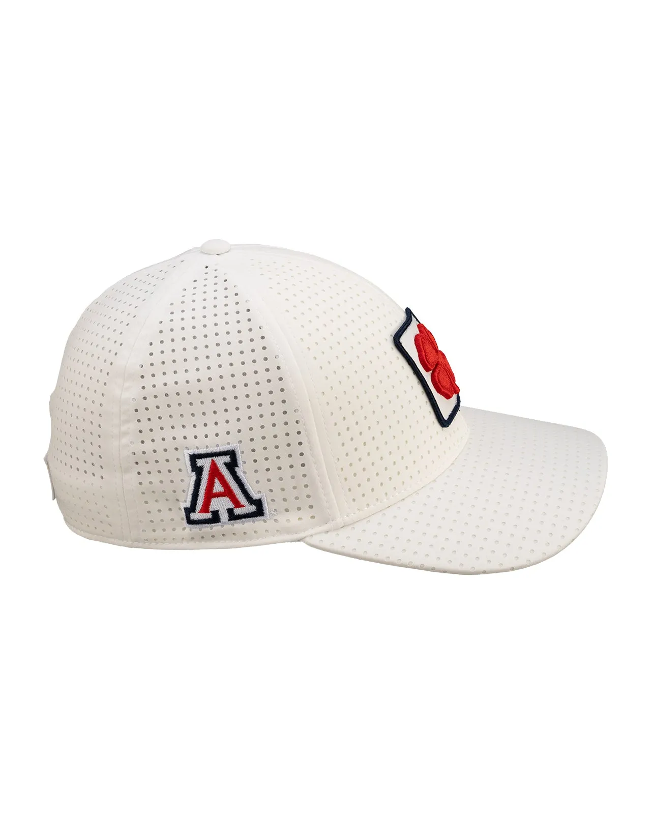 Arizona Laser
