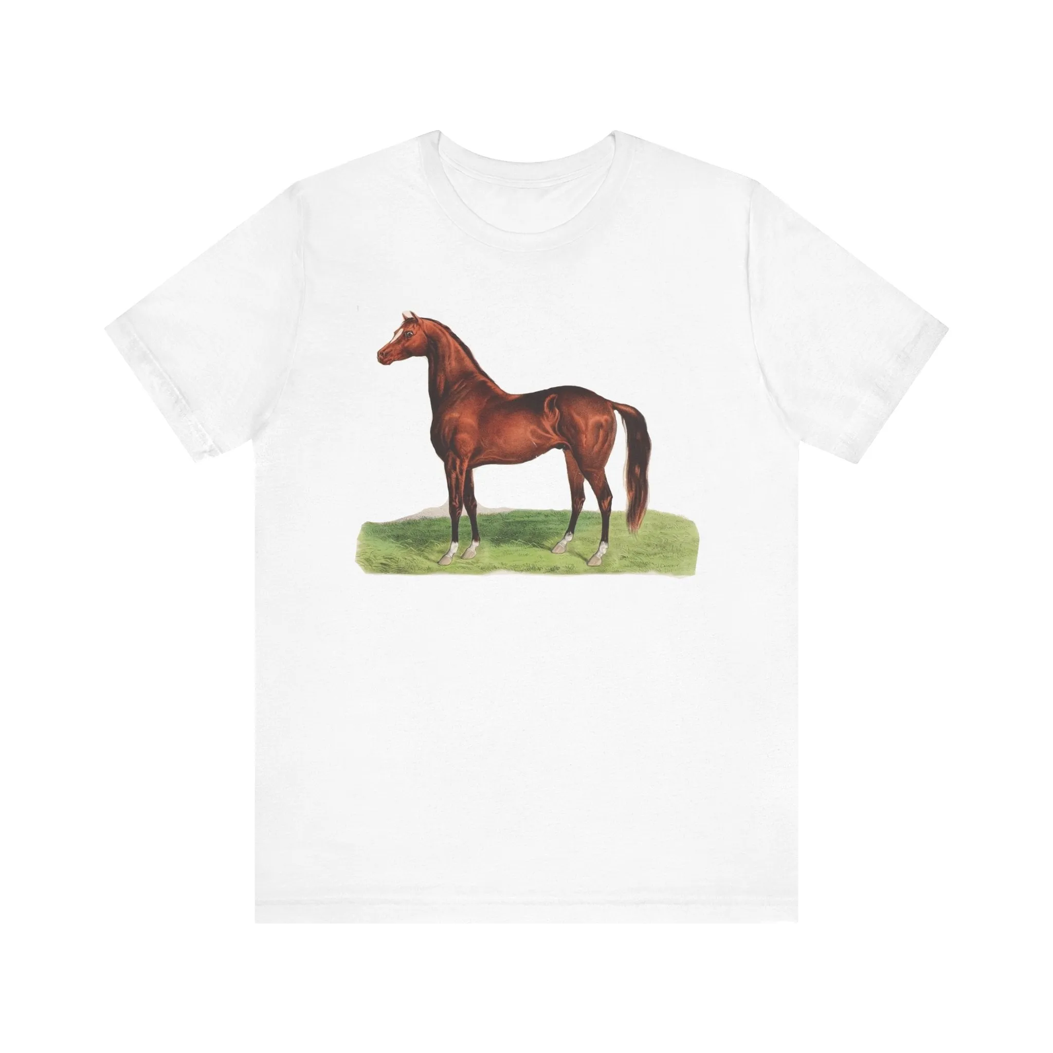 Jersey Short Sleeve Tee for a horse lover