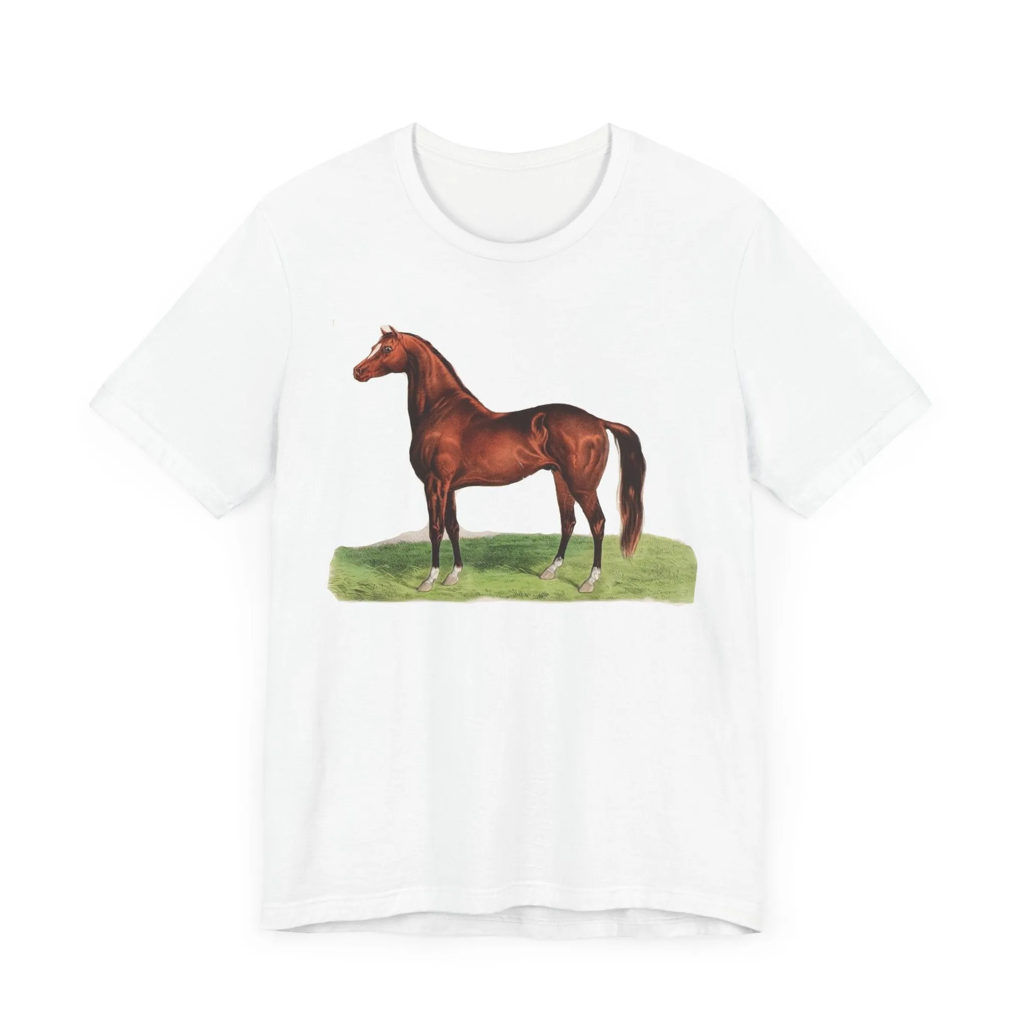 Jersey Short Sleeve Tee for a horse lover