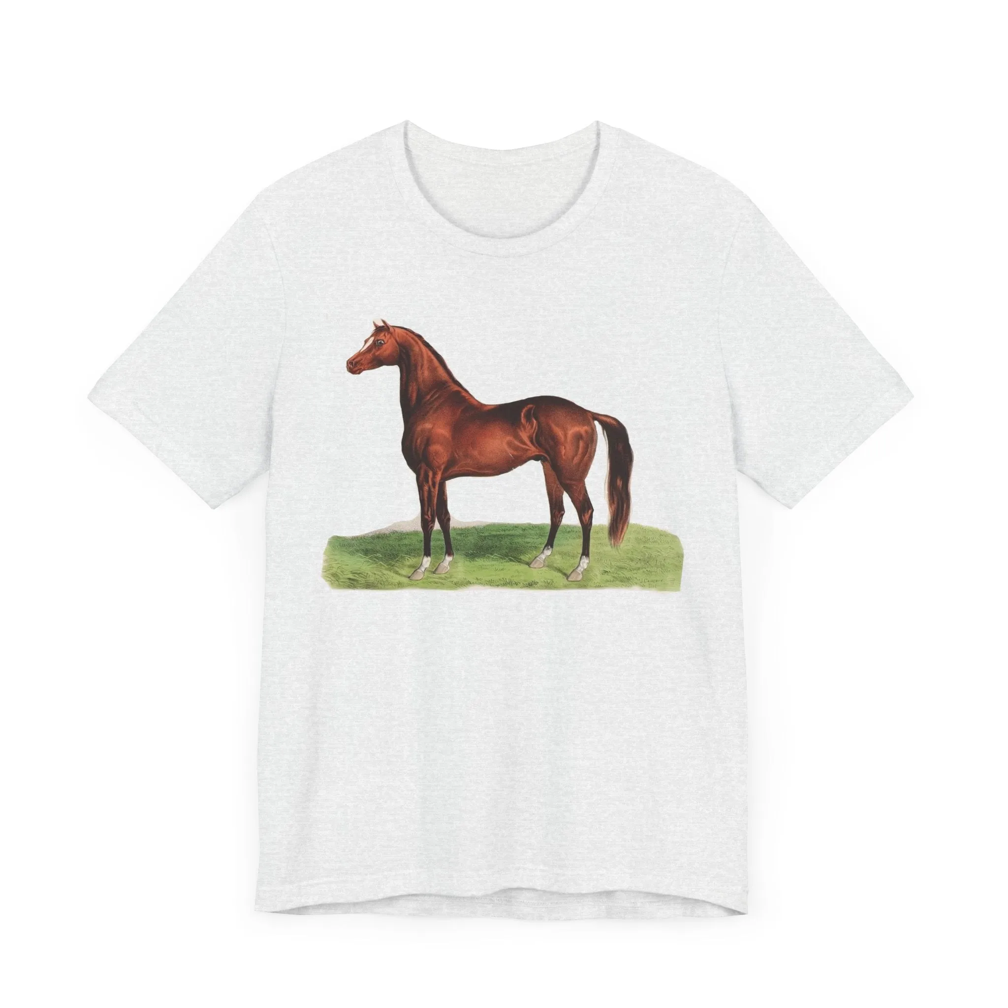 Jersey Short Sleeve Tee for a horse lover