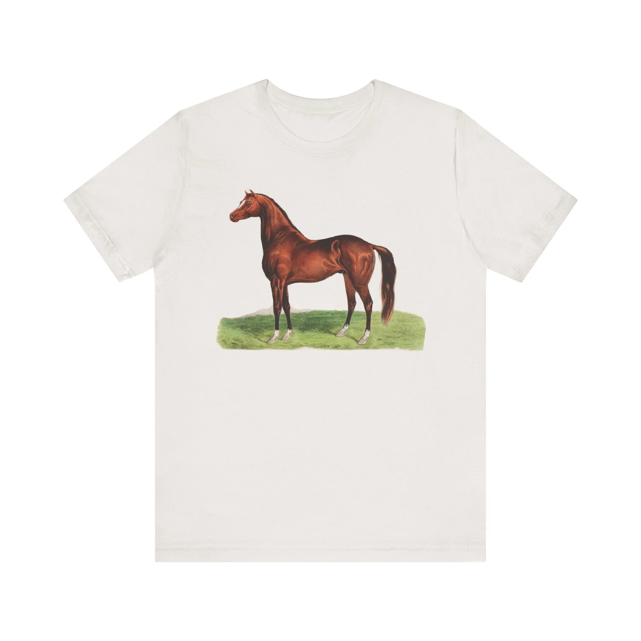 Jersey Short Sleeve Tee for a horse lover